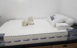 Interior Kamar Tipe B (Bed Area 7)